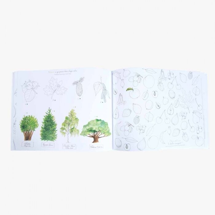 moulin-roty-le-jardin-du-moulin-satamasho-bukleti-photo-3