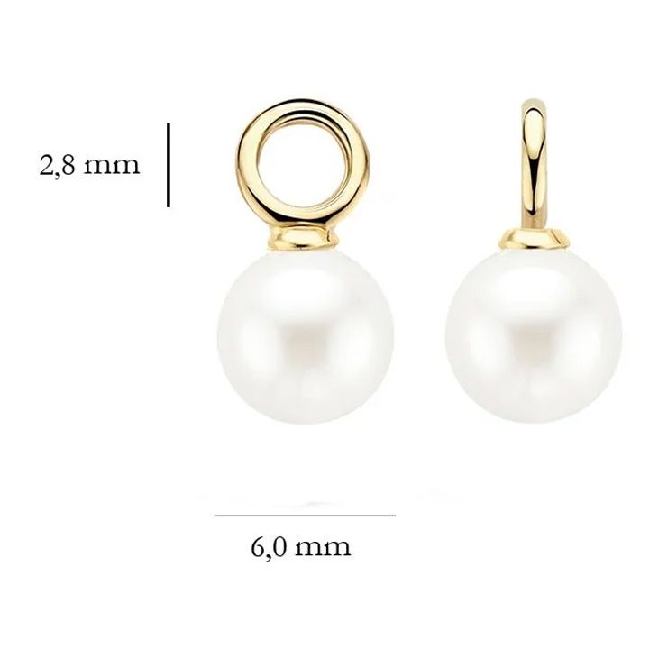 blush-9046ypw-blush-oorbedels-saquris-charmi-photo-2