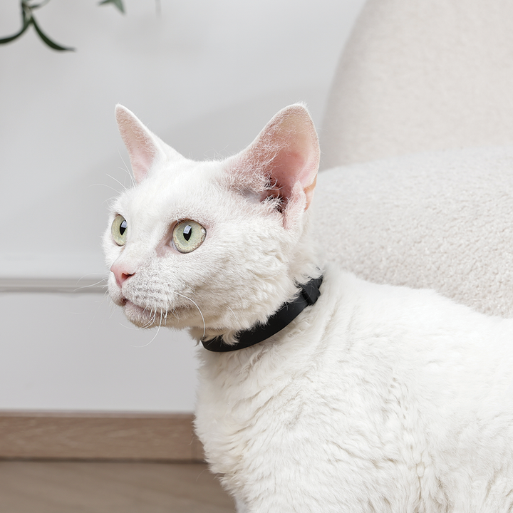 m-pets-keep-calm-damamshvidebeli-feromonebis-saqelos-nakrebi-katebistvis-4ts-photo-2