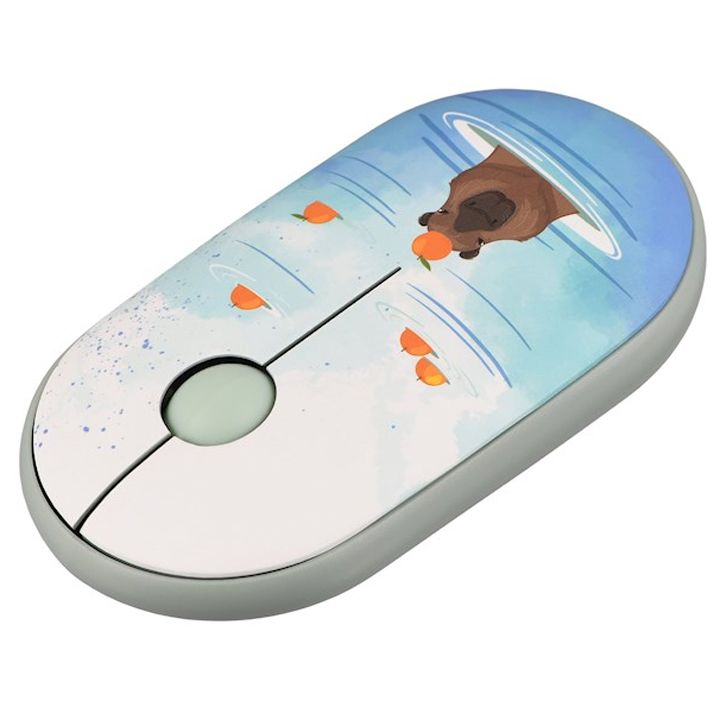 2e-mf300-capybara-usadeno-mausi-photo-3