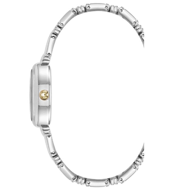 anne-klein-ak5227svtt-qalis-saati-photo-3