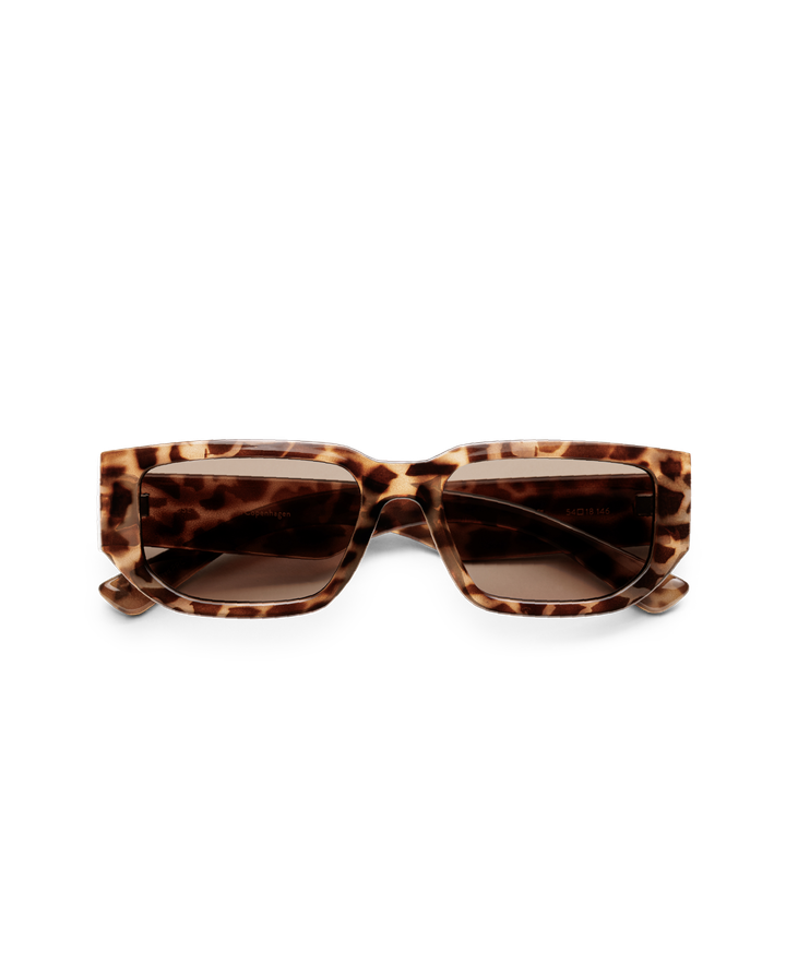 messy-weekend-rose-brown-egyptian-tortoise-mzis-satvale-photo-2