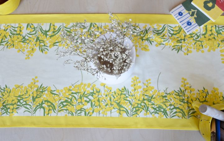 raneri---afkhazuri-mimoza---tetri-photo-4