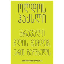 Product image of ოლდოს ჰაქსლი - მრავალი წლის შემდეგ, ერთ ზაფხულს