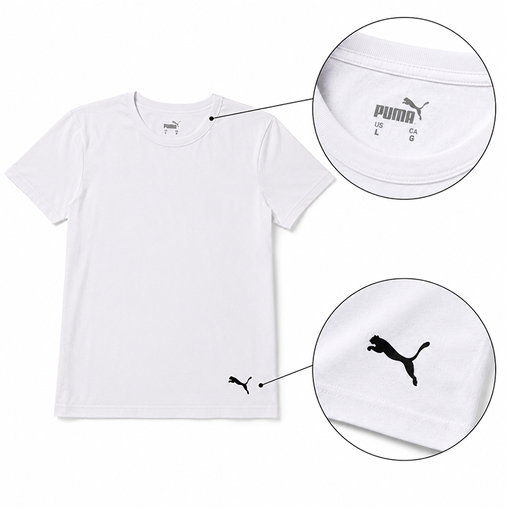 puma-l-zoma-mamakatsis-maisurebis-nakrebi-4-ts-photo-3