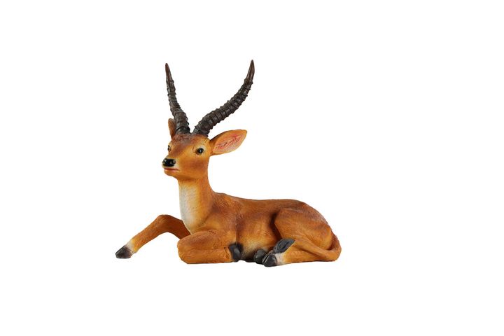 comfort-room-keramikis-dekiratsia-iremi