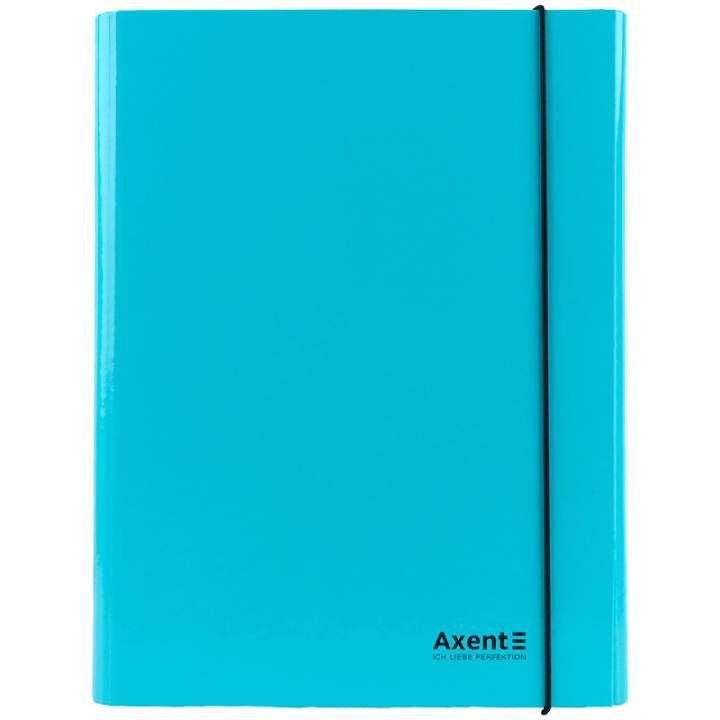 axent-1213-18-a-a4-saqaghalde-rezinit-photo-2