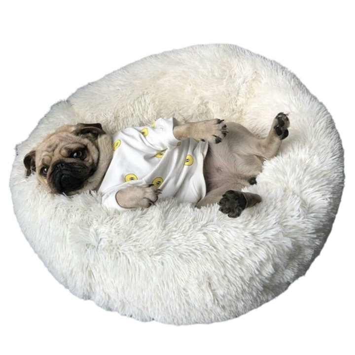 petsup-dzaghlis-satsoli