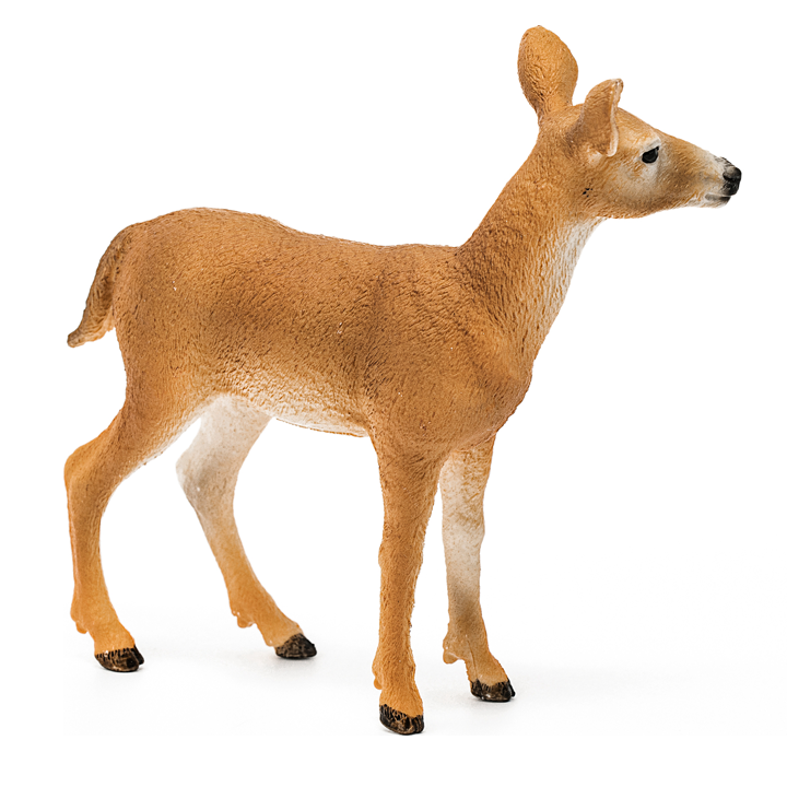 schleich-white-tailed-deer-satamasho-figura-photo-4