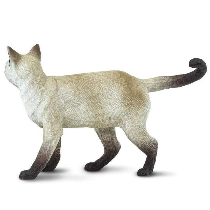 safari-siamese-satamasho-figura-photo-4