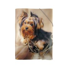 Product image of Axent Rachael Hale  საქაღალდე რეზინით