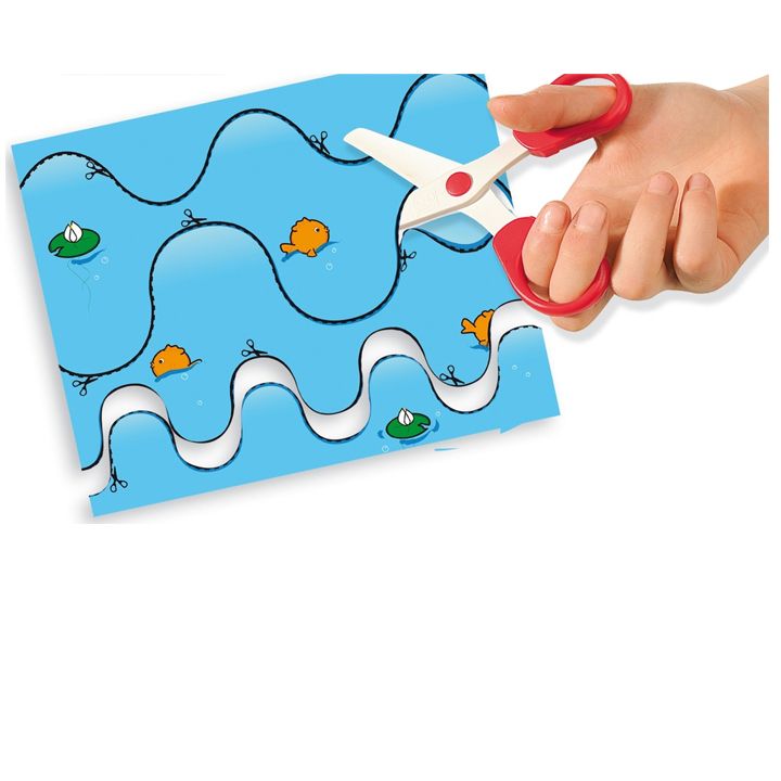 ses-vstsavlob-makratlis-gamoqenebas-photo-4