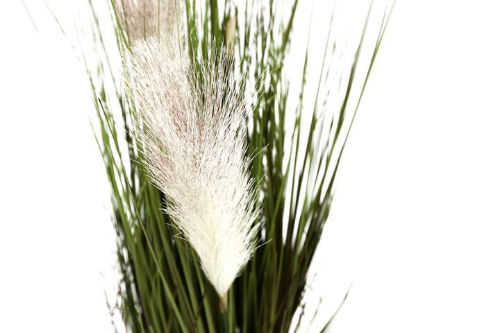 laboratory-my-home-khelovnuri-mtsenare-photo-2