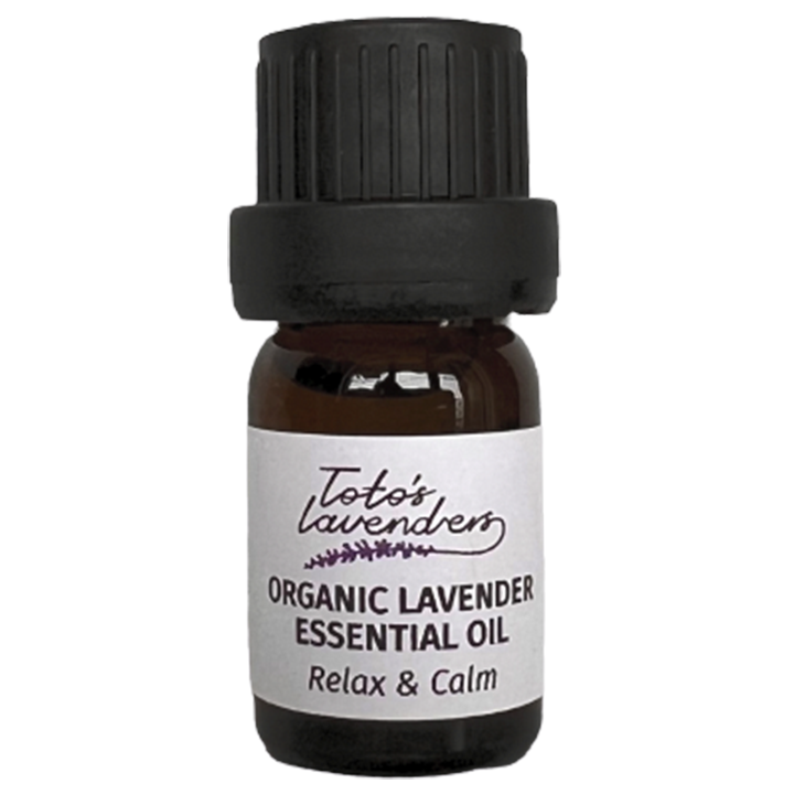 totos-lavenders-lavandis-eterzeti