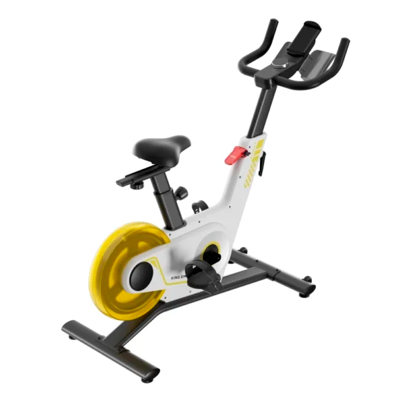 kingsmith-pb08s-bike-white-velotrenazhori-photo-4