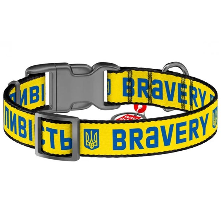 collar-dzaghlis-saqelo-photo-2