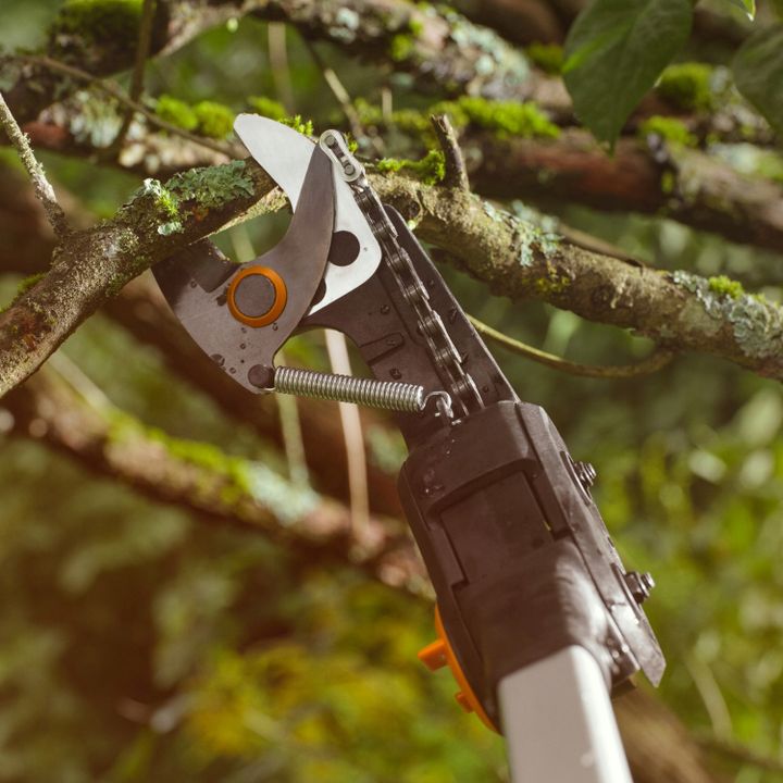 fiskars-etree-pruner-bypass-tool-only-eleqtro-totsachreli-photo-4