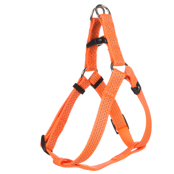 flamingo-dzaghlis-sabeli