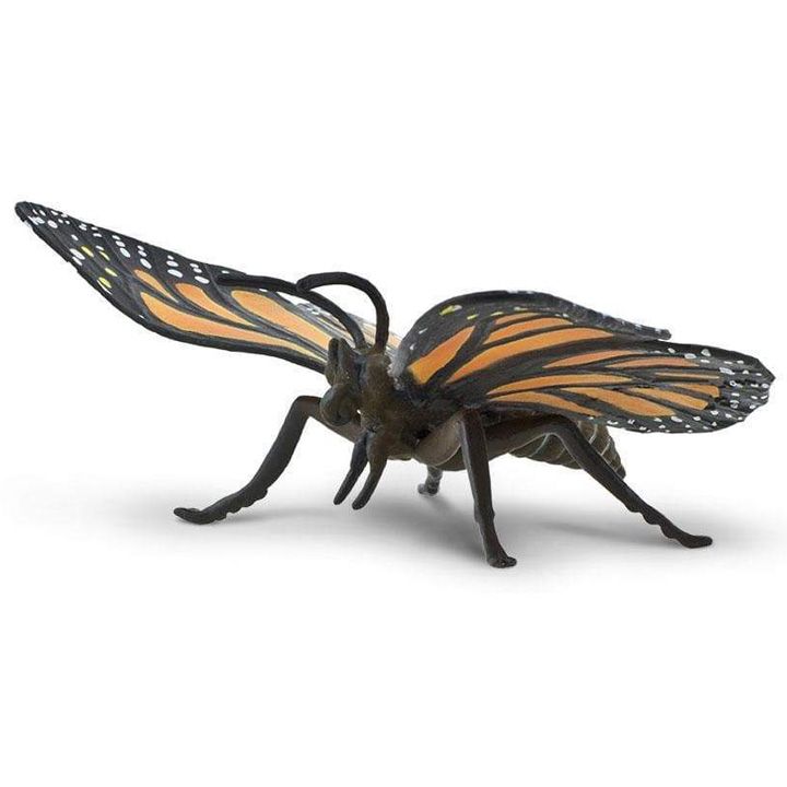 safari-monarch-butterfly-satamasho-figura-photo-3