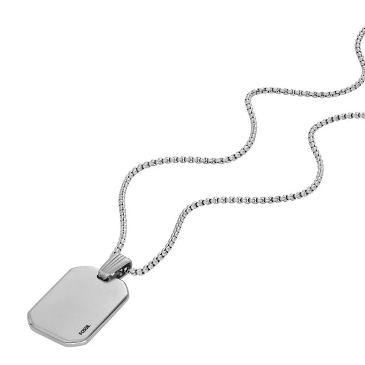 fossil-jf04466040-mamakatsis-qelsabami-photo-2