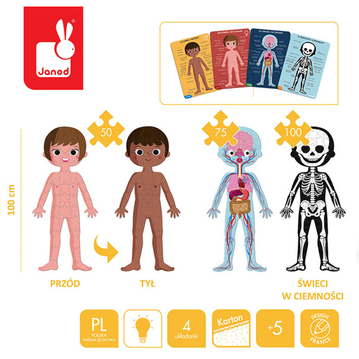 educational-puzzle-human-body-gansavitarebeli-satamasho-fazli-photo-4