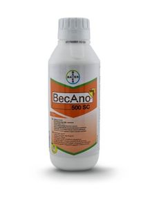 Product image of ბეკანო