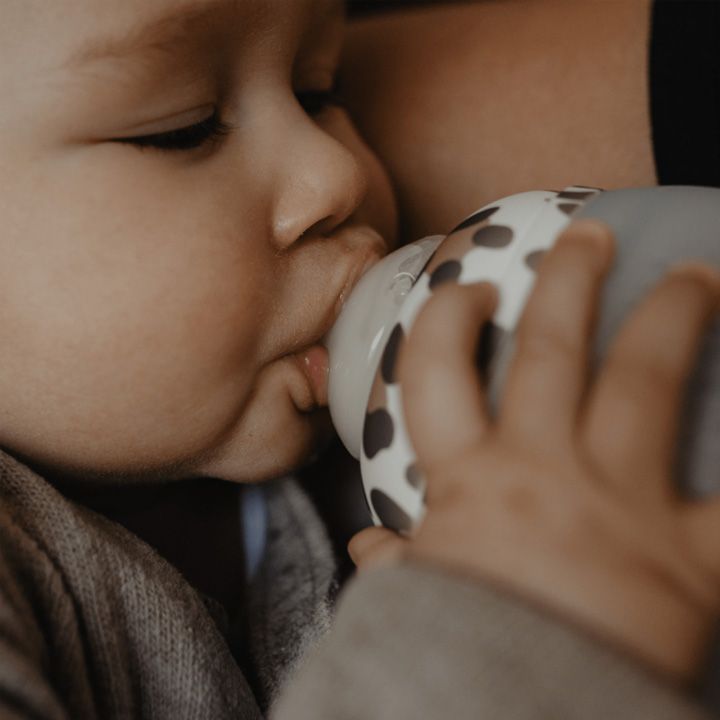 elhee-rdzis-botli-graouu---330-ml-photo-4