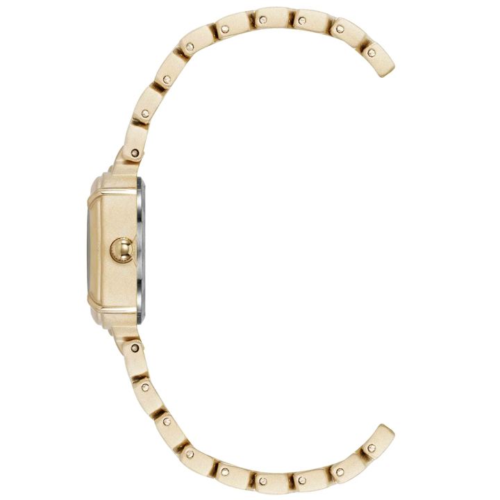 anne-klein-ak5230gpst-qalis-saati-photo-3