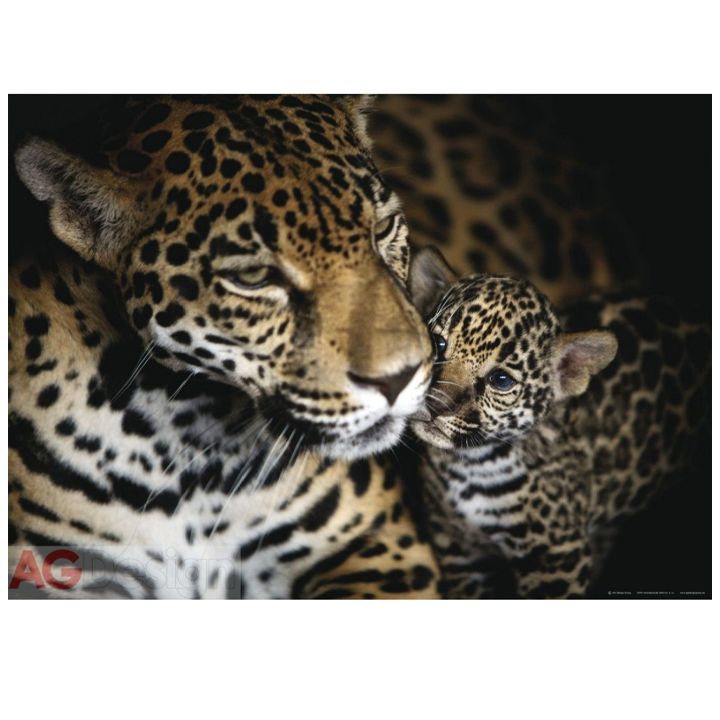 shpaleri-ftm-0497-panter-115x16-m