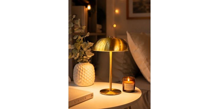 nisse-sanati-photo-2