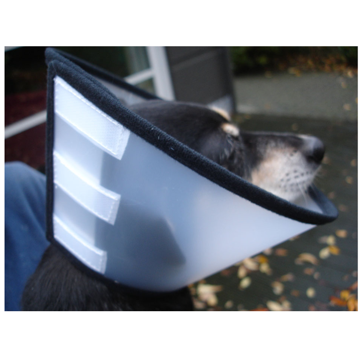 flamingo-postoperatsiuli-saqelo-photo-2