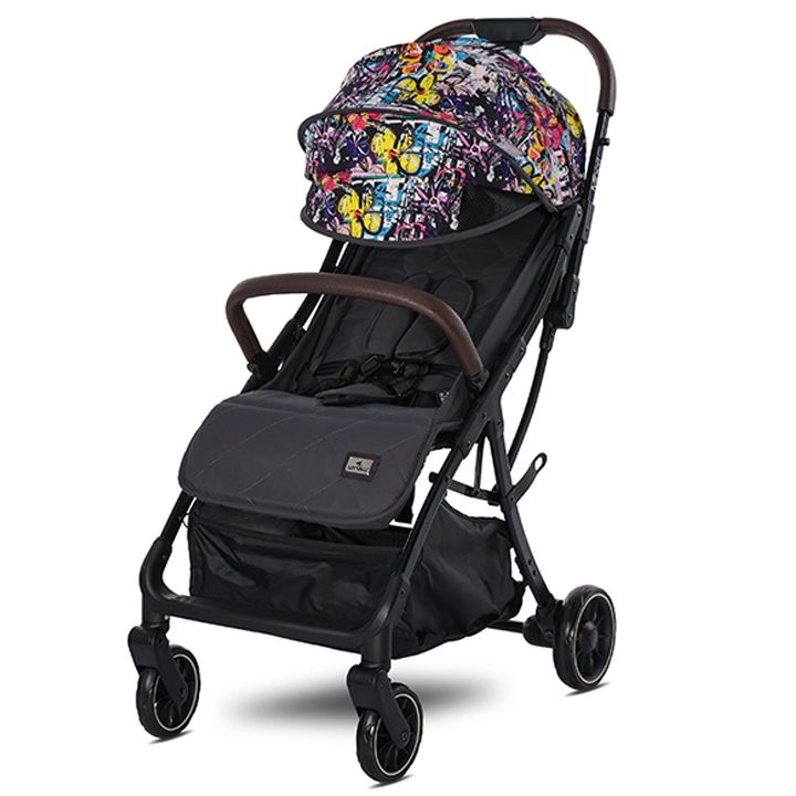 lorelli-minori-sabavshvo-etli-photo-2