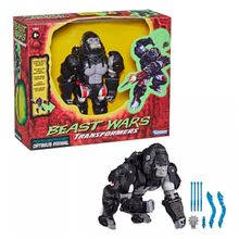 Product image of Hasbro Transformers "Optimus Primal"  სათამაშო ფიგურა