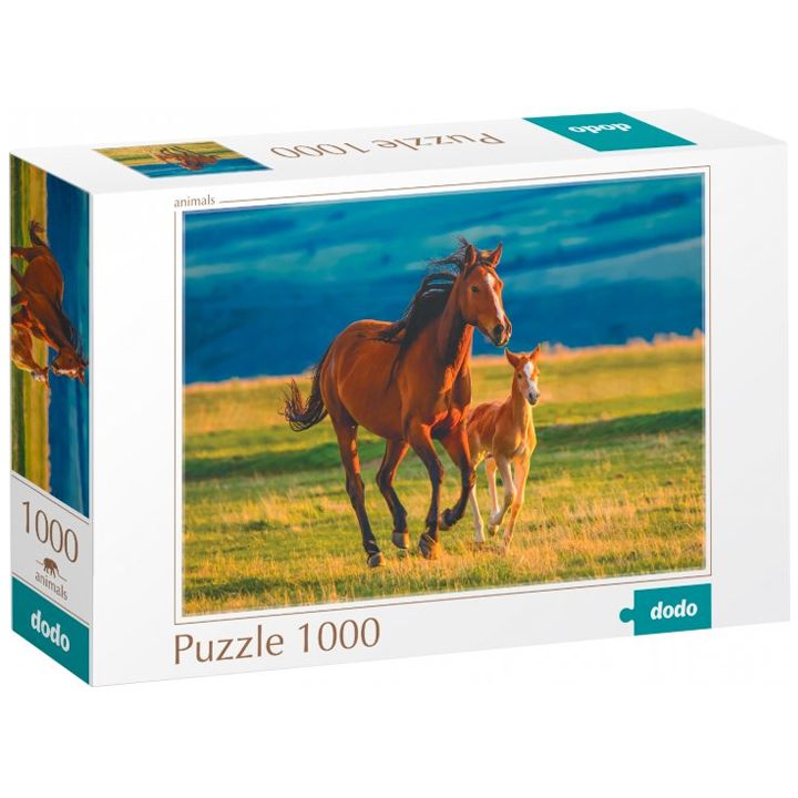 dodo-fazli-kvitsis-varjishi