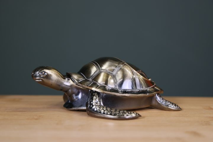 saferfle-kus-formis-1515sm