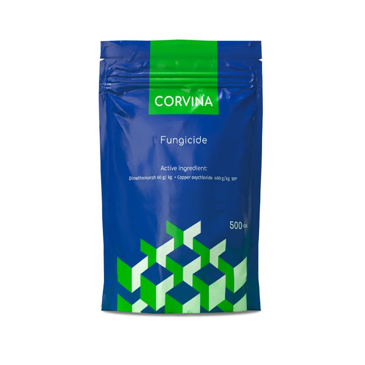 korvina-1kg