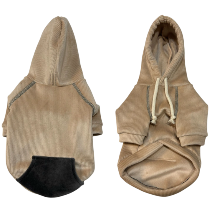 petsup-dzaghlis-tansatsmeli