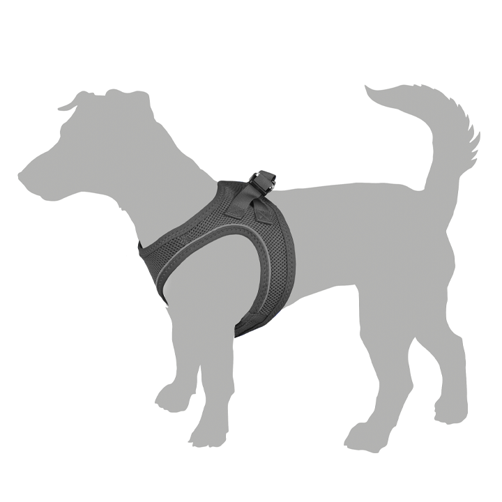 flamingo-dzaghlis-sabeli-photo-2