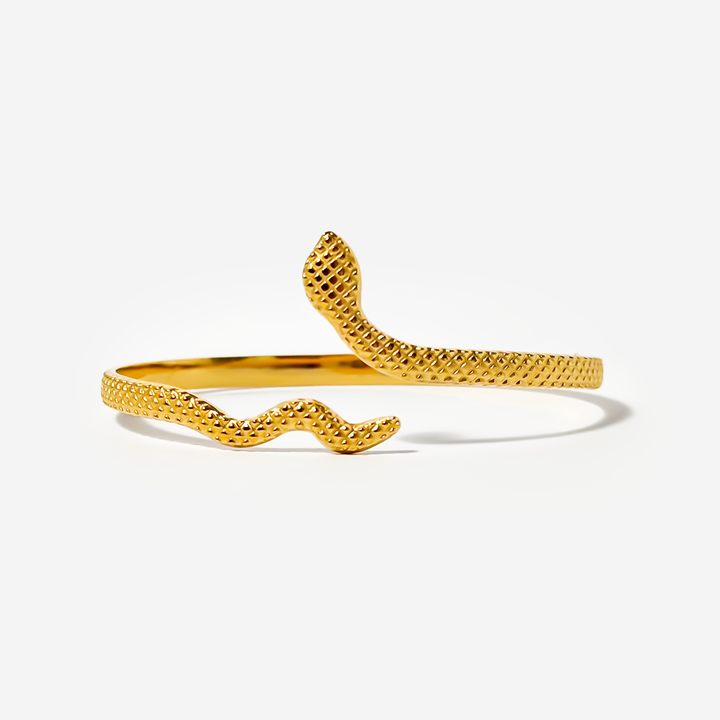 titanis-mooqrovili-samajuri-gvelis-formit