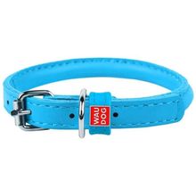 Product image of COLLAR ძაღლის საყელო