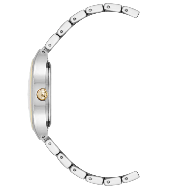 anne-klein-ak5133svtt-qalis-saati-photo-3