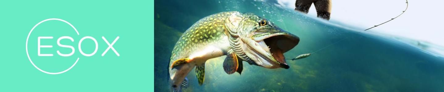 Cover photo of ESOX ესოქს