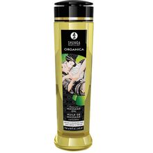 Product image of Shunga მასაჟის ზეთი ორგანიკა არომატის გარეშე