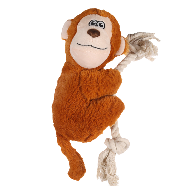 flagino-dt-hangta-monkey-dzaghlis-satamasho-photo-3