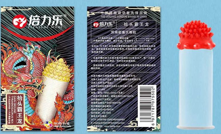 tyrannosaurus-rex-dragon-bususebiani-photo-2