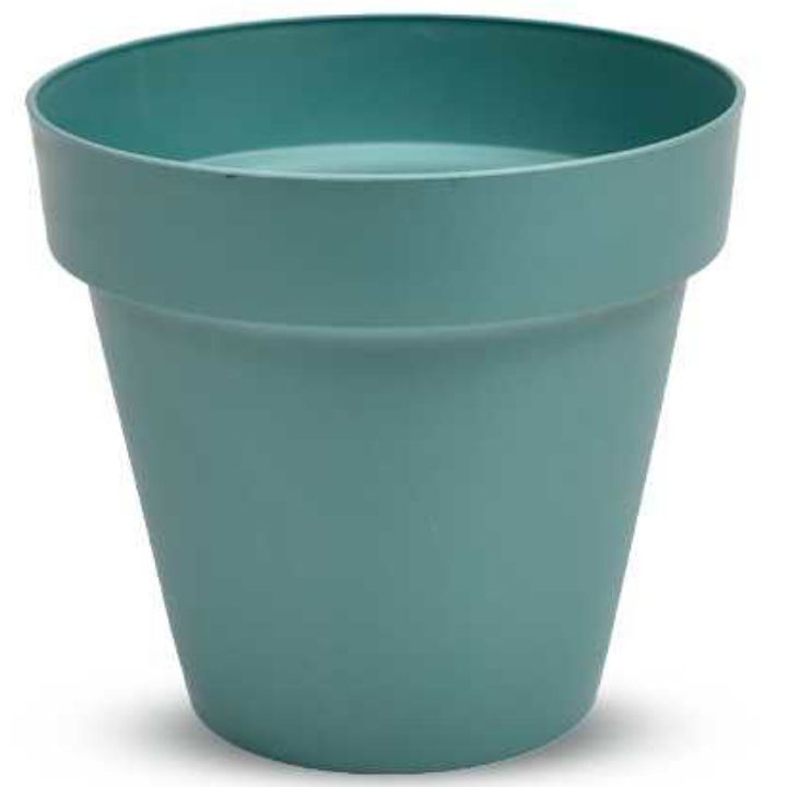 serinova-ys02-19110-mtsenaris-qotani