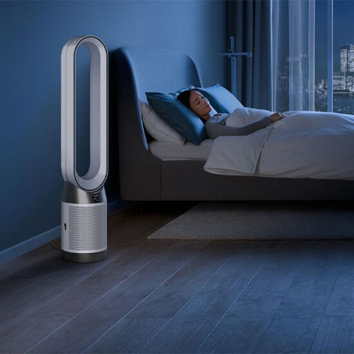 dyson-544901-01-tp11-haeris-gamtsmendi-photo-2