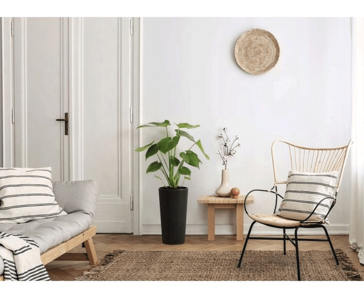 lamela-lilia-eco-250-jumper-95l-antratsiti-plastmasis-qotani-photo-3