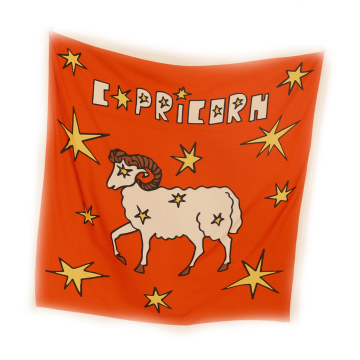 abreshumis-zodiaqos-sharfi--capricorn