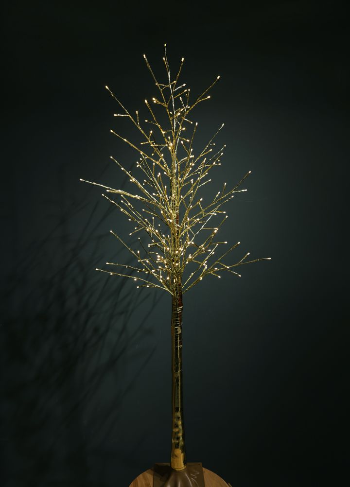 oqrosferi-ganateba-18m